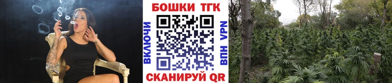 Как найти наркотики Сафоново Гашиш Галлюциногенные грибы A PVP Конопля Мефедрон Кокаин